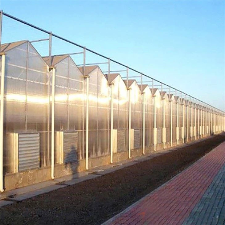 Agriculture Greenhouse PC Greenhouse