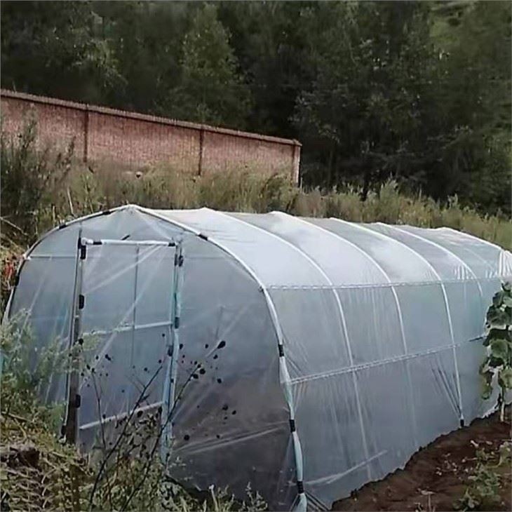 Mini Tunnel Greenhouse Price