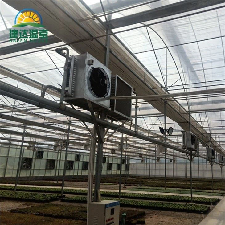 Multi-span Greenhouse