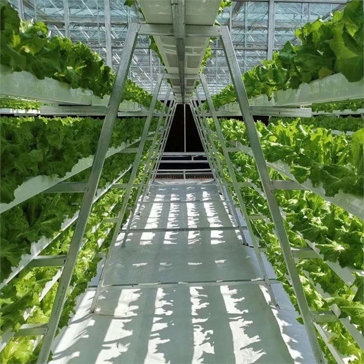 www.greenhouse-china.com