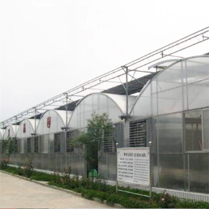 muti-span polycarbonate house indoor farm