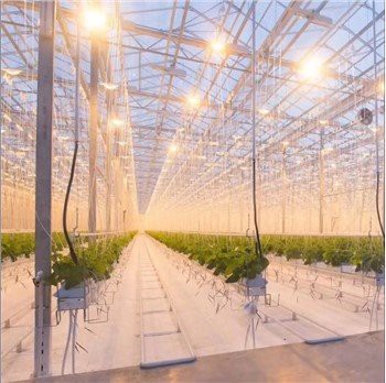 מערכת תאורת חממה