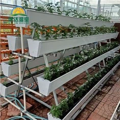 מרזב שתילה הידרופוני PVC