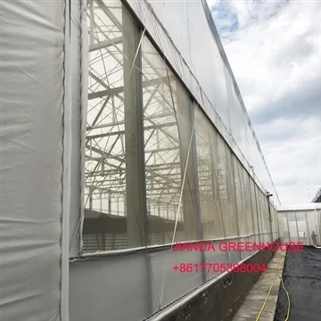 אמצעי זהירות למרווח בבניית חממת פילם