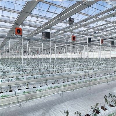 פרויקט 2025 חקלאי וכפרי לאומי ותעשייתי
